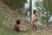 26jan2015_banteay-srei-2_3513