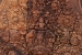 26jan2015_banteay-srei_3072