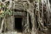 29jan2015_prohm_4293