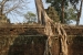 29jan2015_prohm_4393