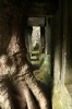 Anghor-Wat-2-105