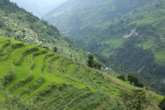 annapurna day 1_20150831_5781