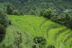 annapurna day 1_20150831_5805