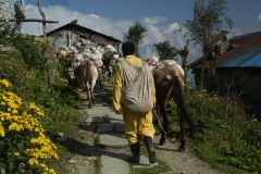 annapurna final days_20150909_9761