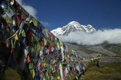 annapurna trekking_20150905_6859