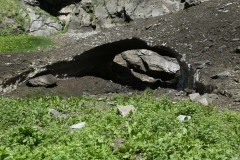 annapurna trekking_20150905_6954