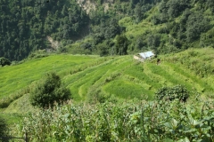 annapurna trekking_20150907_6566
