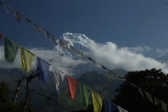 annapurna trekking_20150908_6388