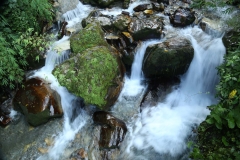 annapurna trekking_20150908_6409