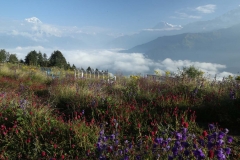 annapurna trekking_20150909_5961