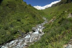 annapurna walk home_20150904_8072