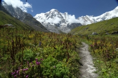 annapurna walk home_20150904_8318