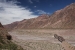 mendoza 139001.jpg