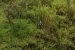 20120506-IMG_8268