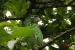 20120506-IMG_8290