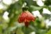 20120506-IMG_8311
