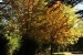 bariloche-and-san-martin-219