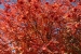 bariloche-and-san-martin-238
