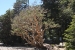 Bariloche 294.jpg