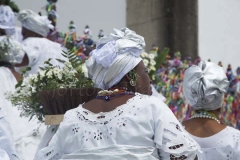 thumb_Bomfin_20160114_2559_1024