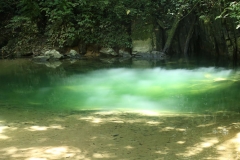 GUNUNG MULU NP_20150624_6148