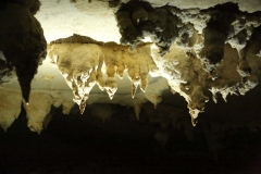 GUNUNG MULU NP_20150624_6483