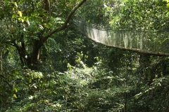 Gunung Mulu 2_20150625_6750