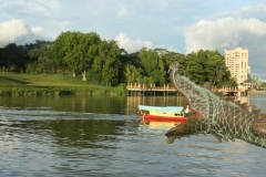 Orang utans Semengoggh_20150609_0524