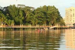 Orang utans Semengoggh_20150609_0606