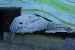 graffiti-mundo-389