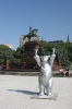 salta 182.jpg