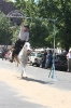 Feria de Matadores 012.jpg