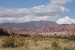 Salta and Cafayate 288.jpg