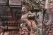 Banteay-Srei-033