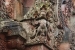 Banteay-Srei-118