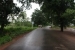 Banteay-Srei-202