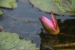 Cambodia-3-122