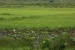 Siam-Reap-floating-villages-009