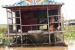 SiamReap-floating-villages-1-229