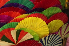 23Jan2015_Kerala Y Phnom Phen_2404