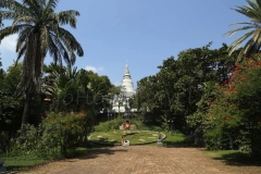 23Jan2015_Kerala Y Phnom Phen_2459