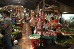 23jan2015_kerala-y-phnom-phen_2384