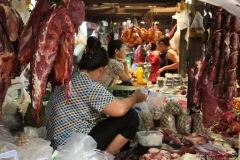 23jan2015_kerala-y-phnom-phen_2387