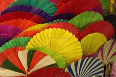 23jan2015_kerala-y-phnom-phen_2404