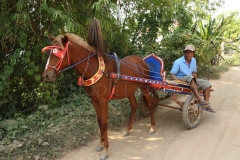 24Jan2015_Kerala Y Phnom Phen_2194