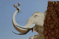 24Jan2015_Kerala Y Phnom Phen_2273