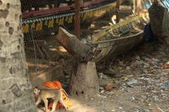 24Jan2015_Kerala Y Phnom Phen_2328
