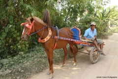 24jan2015_kerala-y-phnom-phen_2194