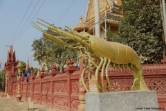 24jan2015_kerala-y-phnom-phen_2262