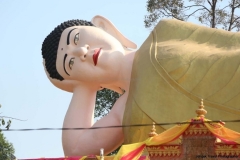24jan2015_kerala-y-phnom-phen_2281